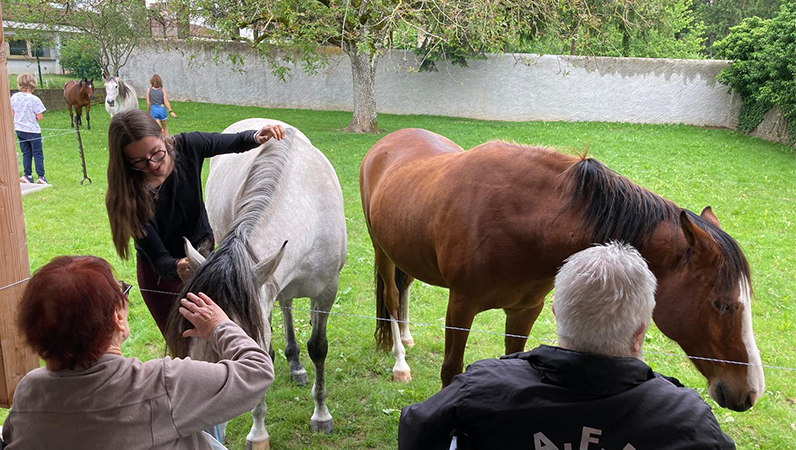 Thérapie animale : Les résidents de l’EHPAD de Gerbéviller passe un moment privilégié avec quatre chevaux